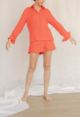 Short Augur Terracota